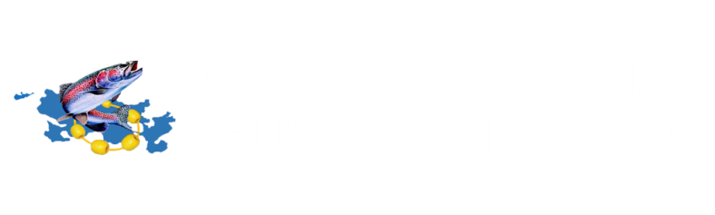 Logo de mi sitio web